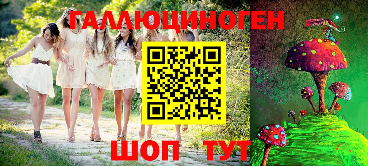 Псилоцибиновые грибы Psilocybine cubensis Саранск
